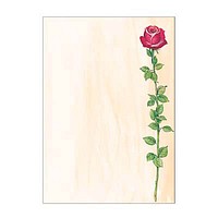 SIGEL Motivpapier Rose Bloom Motiv DIN A4 90 g/qm 25 Blatt