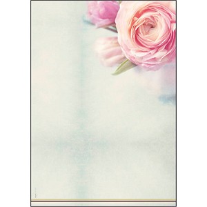 SIGEL Motivpapier Rose Garden Motiv DIN A4 90 g/qm 50 Blatt SIGEL Motivpapier Rose Garden Motiv DIN A4 90 g/qm 50 Blatt