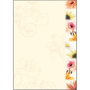 SIGEL Motivpapier Flowerstyle Motiv DIN A4 90 g/qm 50 Blatt SIGEL Motivpapier Flowerstyle Motiv DIN A4 90 g/qm 50 Blatt