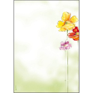 SIGEL Motivpapier Spring Flowers Motiv DIN A4 90 g/qm 50 Blatt SIGEL Motivpapier Spring Flowers Motiv DIN A4 90 g/qm 50 Blatt