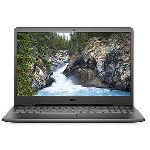 DELL Inspiron 3505-4137 Notebook 39,6 cm (15,6 Zoll), 8 GB RAM, 256 GB SSD M.2, AMD Ryzen 3 3250U