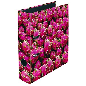 herlitz maX.file Fruits Motivordner Drachenfrucht 8,0 cm DIN A4 herlitz maX.file Fruits Motivordner Drachenfrucht 8,0 cm DIN A4