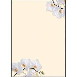 SIGEL Motivpapier White Orchid Motiv DIN A4 90 g/qm 50 Blatt SIGEL Motivpapier White Orchid Motiv DIN A4 90 g/qm 50 Blatt