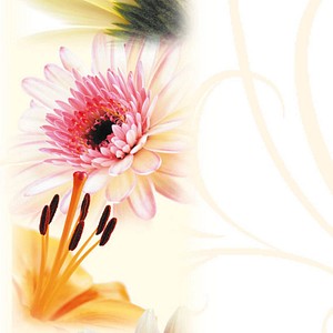 SIGEL Motivpapier Flowerstyle Motiv DIN A4 90 g/qm 50 Blatt SIGEL Motivpapier Flowerstyle Motiv DIN A4 90 g/qm 50 Blatt