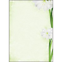 SIGEL Motivpapier Green Flower Motiv DIN A4 90 g/qm 25 Blatt
